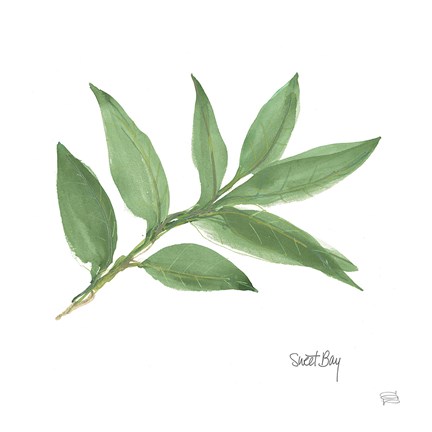 Framed Sweet Bay Print