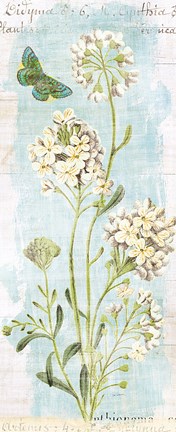 Framed Botany Blue II Print