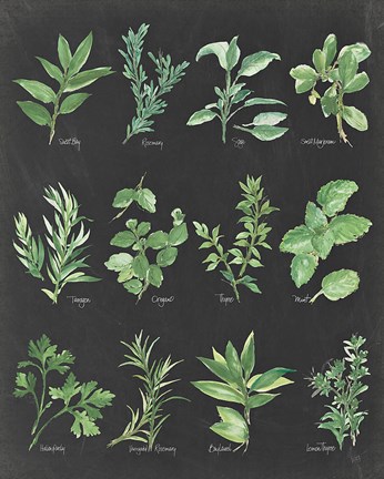 Framed Herb Chart on Black Print