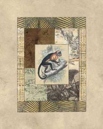 Framed Exotic V Print