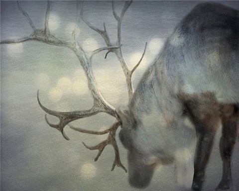 Framed If On A Winters Night Print