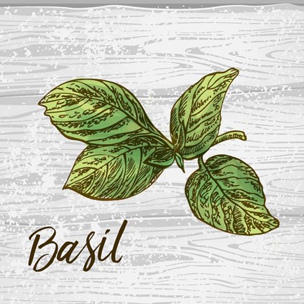 Framed Basil on Wood Print