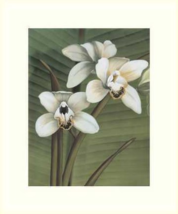 Framed Orchid with Palm I Print