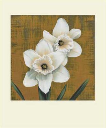 Framed Narcisi Print