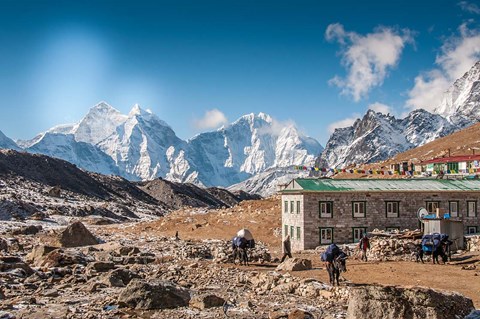 Framed Trekkers and yaks in Lobuche on a trail to Mt Everest Print