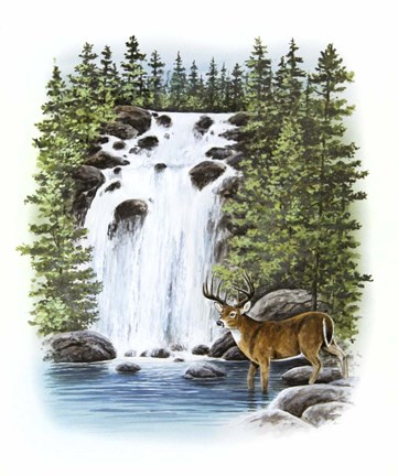 Framed Stag Waterfall Print