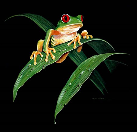 Framed Tree Frog Print