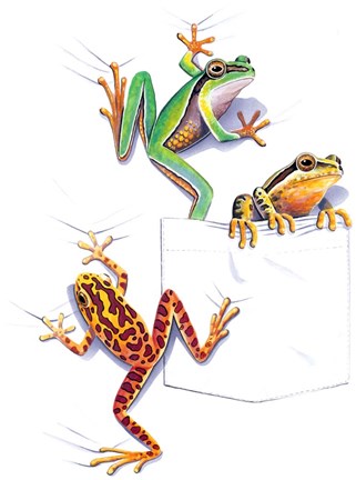 Framed Three Frogs Print