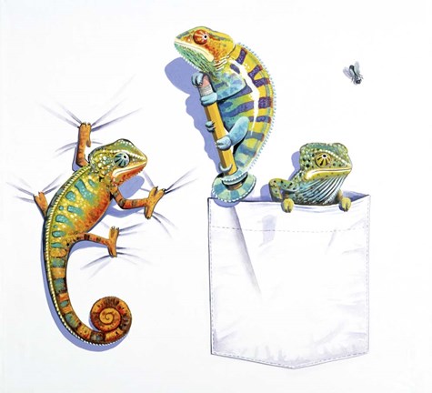 Framed Three Chameleons Print