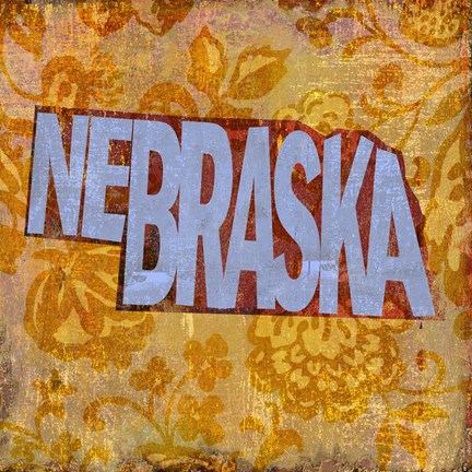Framed Nebraska on Pattern Print