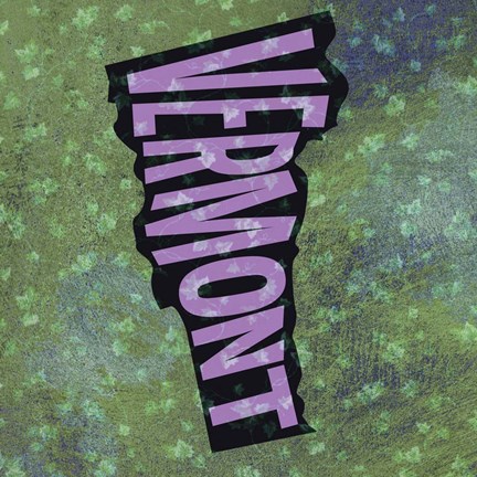 Framed Vermont on Pattern Print