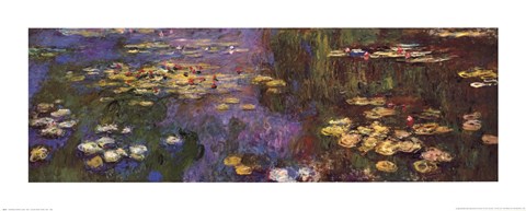Framed Waterlilies Print