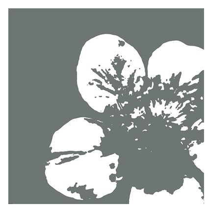 Framed Flower III Print