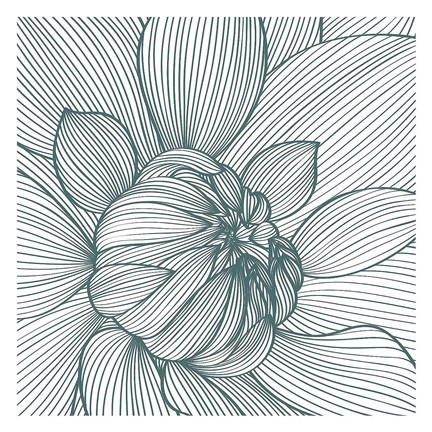 Framed Myrrhis odorata I Print