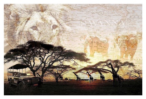 Framed Savanna Print