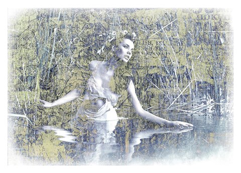 Framed Swan Lake Print