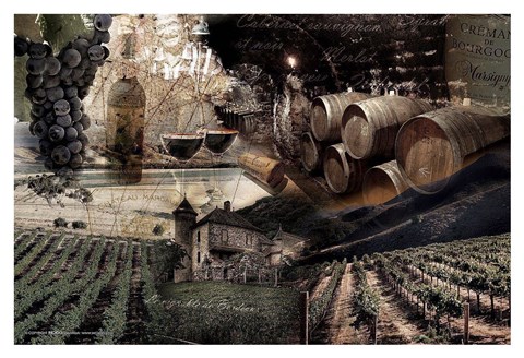 Framed Wine Print