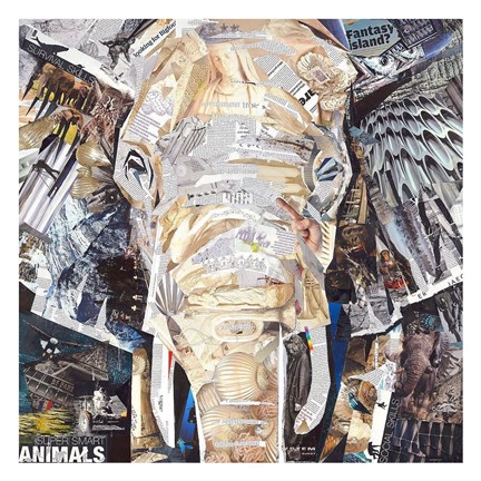Framed Elephants Gaze Print