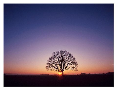 Framed Sundown Print