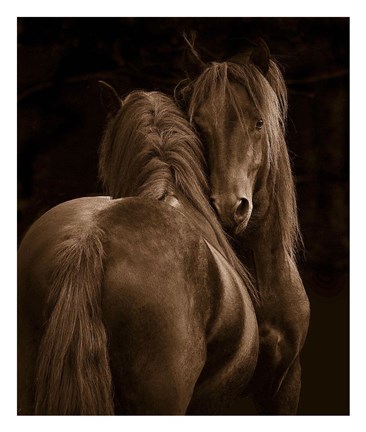 Framed Tenderness I Print