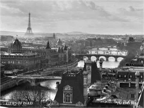 Framed Views of Paris the River Seine Print