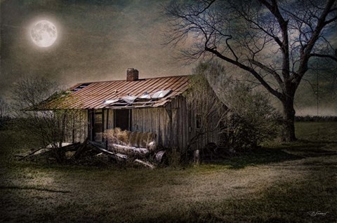 Framed Forgotten in Moonlight Print