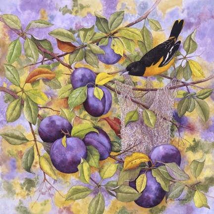 Framed Oriole &amp; Plums Print