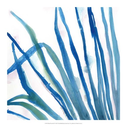 Framed Palm Wonderful IV Print