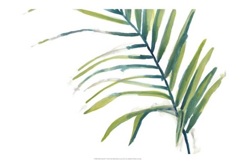 Framed Palm Wonderful V Print