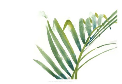 Framed Palm Wonderful VI Print