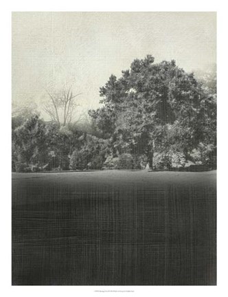 Framed Morning View II Print