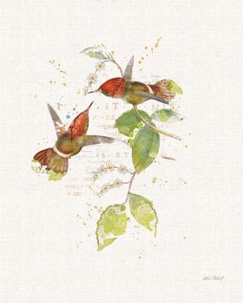 Framed Colorful Hummingbirds II Print