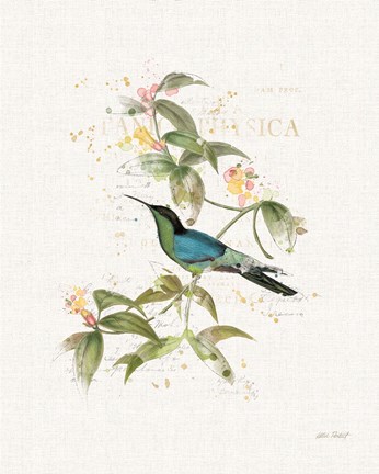 Framed Colorful Hummingbirds IV Print