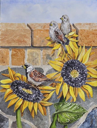 Framed House Sparows with Sunflowers Print