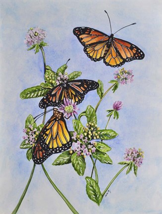 Framed Irish Monarchs Print