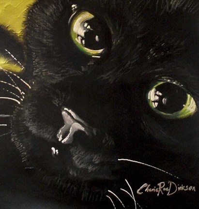 Framed Cat&#39;s Eyes Print