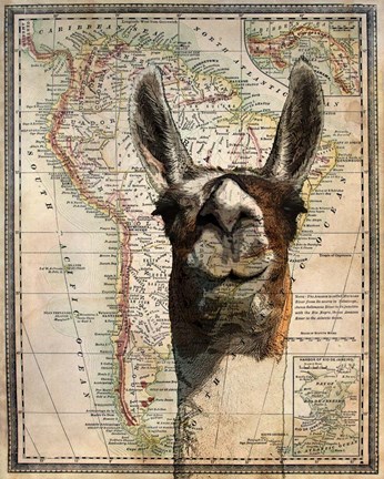 Framed South America Llama Map Print