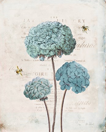 Framed Geranium Study I Print