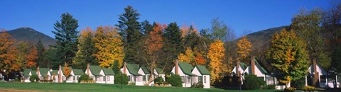Framed Cottages on a hill, Franconia Notch State Park, White Mountain National Forest, New Hampshire Print
