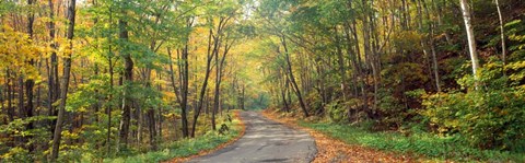 Framed Road passing through autumn forest, Golf Link Road, Colebrook, New Hampshire Print