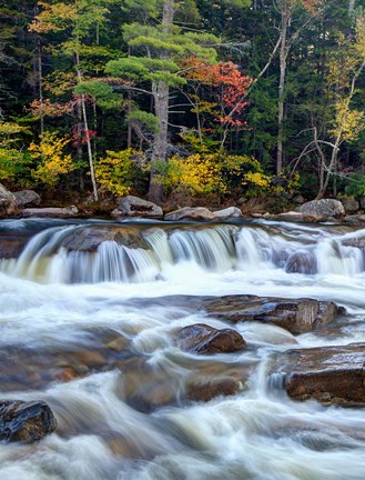 Framed Lower Swift River Falls, White Mountains, New Hampshire Print