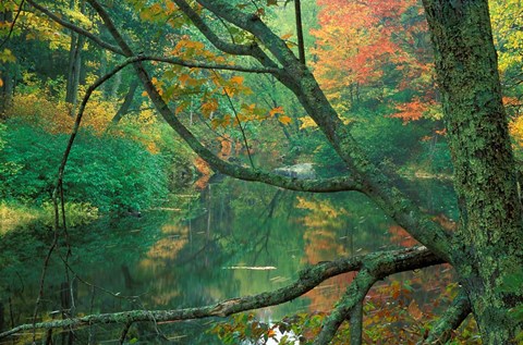 Framed Fall on the Lamprey River below Wiswall Dam, New Hampshire Print