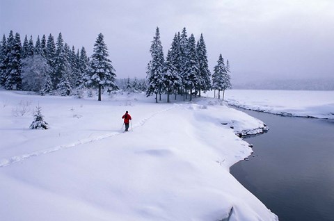Framed Snowshoeing on the Shores of Second Connecticut Lake, Northern Forest, New Hampshire Print