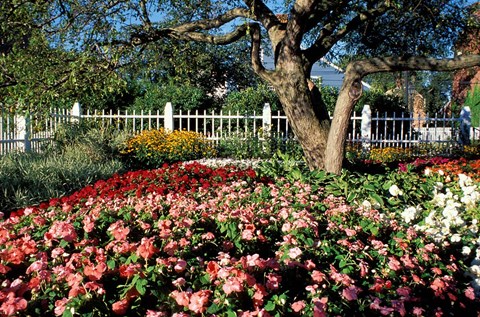 Framed Prescott Park, New Hampshire Print