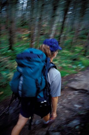 Framed Backpacking on Franconia Ridge Trail, Boreal Forest, New Hampshire Print