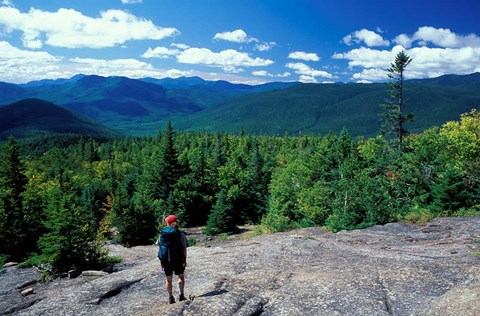 Framed Hiking on Mt Crawford, New Hampshire Print