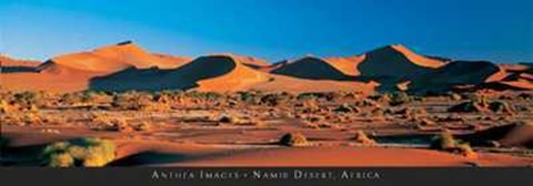 Framed Anonymous - Namib Desert, Africa Size 54.5x19 Print