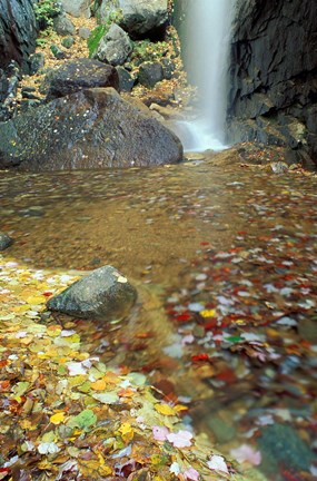 Framed Pitcher Falls in White Mountains, New Hampshire Print