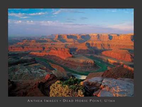 Framed Anonymous - Dead Horse Point, Utah Size 31.5x23.75 Print