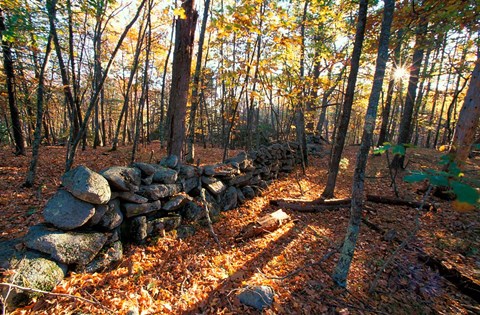 Framed Stone Wall, Nature Conservancy Land Along Crommett Creek, New Hampshire Print